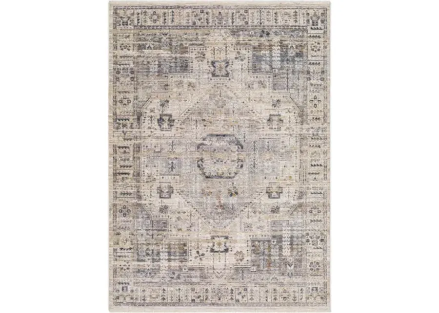 Aida AAD-2307 5' x 7'9" Machine Woven Rug