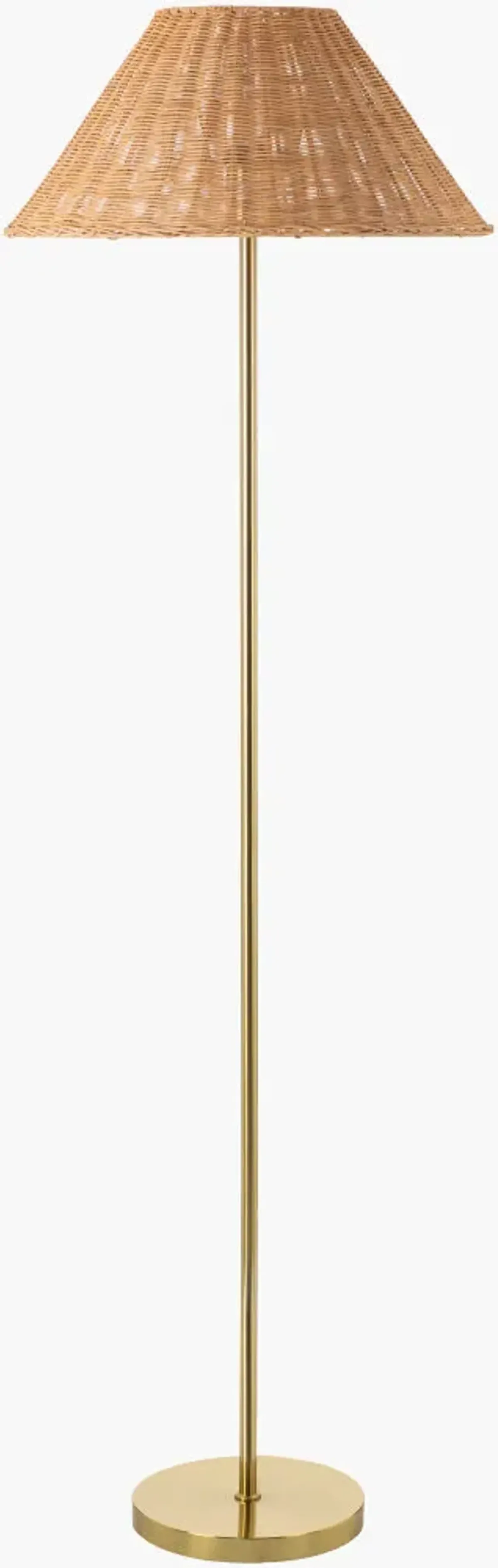 Ronda RDA-001 64"H x 20"W x 20"D Accent Floor Lamp