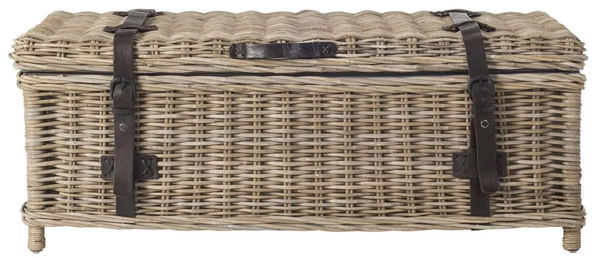 NAVARRO RATTAN COFFEE TABLE TRUNK