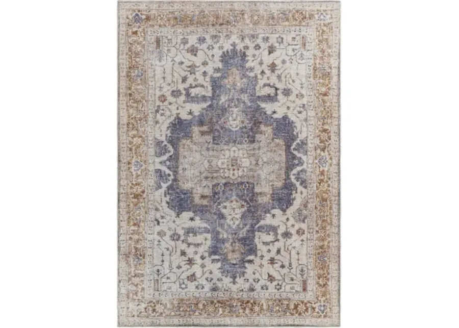 Amelie AML-2374 2'7" x 7'10" Machine Woven Rug