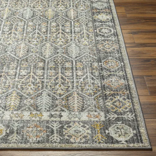 Bitlis BSI-2304 6'7" x 9' Machine Woven Rug