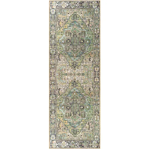 Iris 2'3" x 3'9" Rug