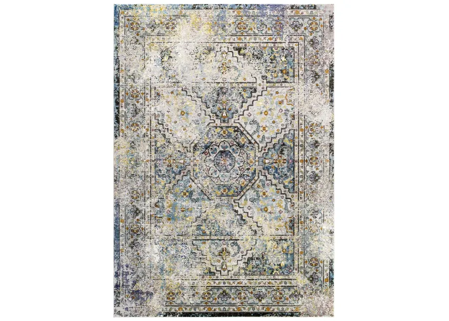 Success Jacinda Distressed Vintage Floral Persian Medallion 4x6 Area Rug