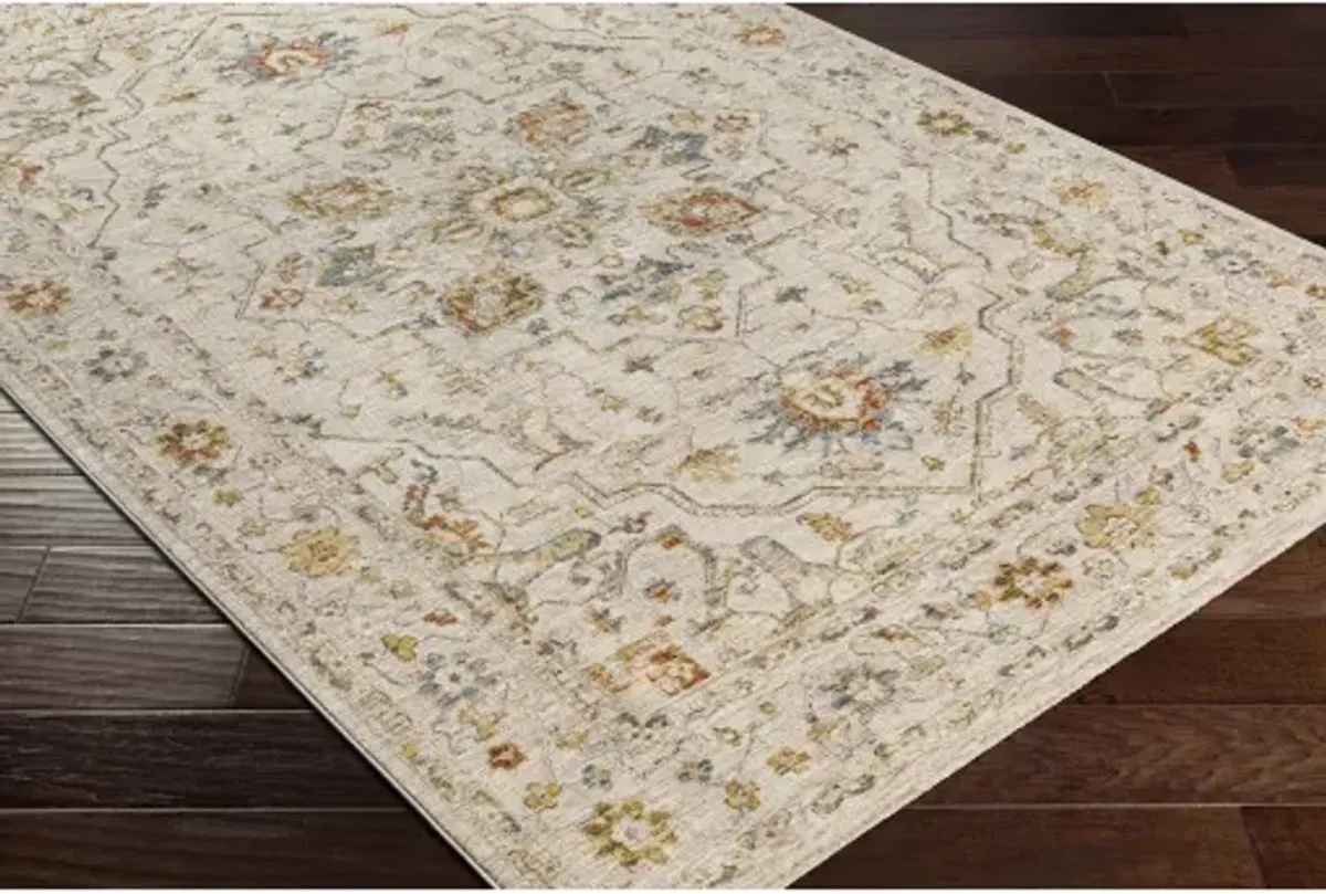 Reina REN-2303 2'7" x 7'3" Rug