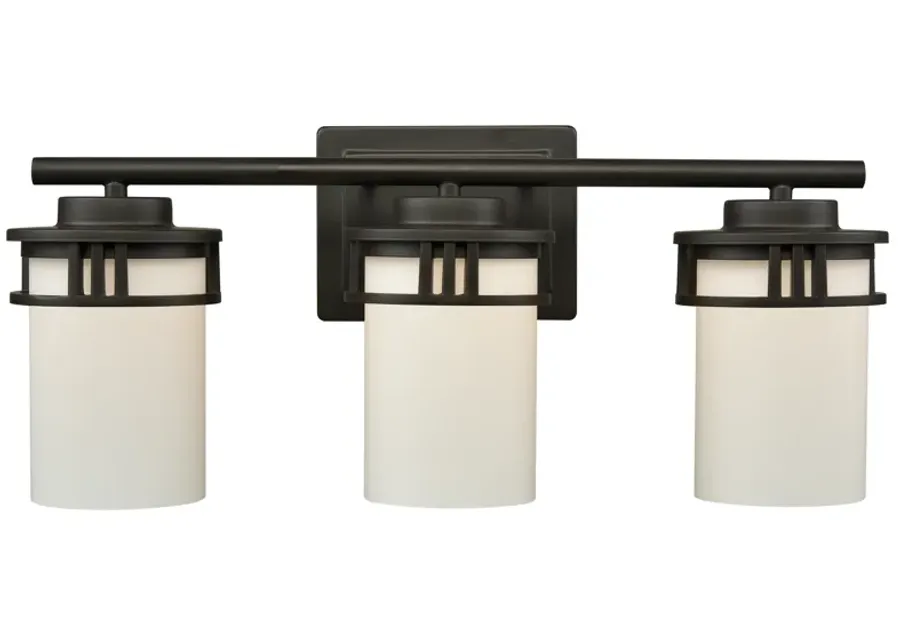 Ravendale 20" Wide 3-Light Vanity Light - Oil Rubbed Bronze