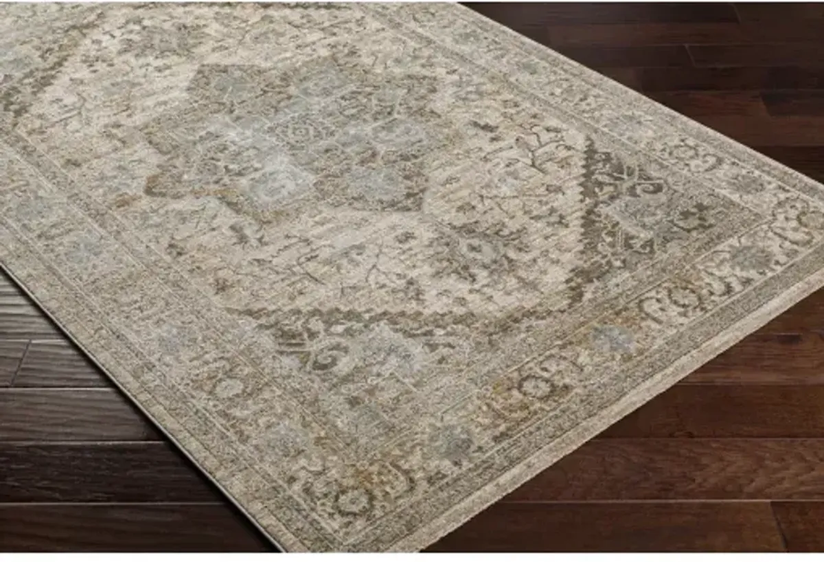 Brunswick BWK-2320 2'7" x 7'3" Rug