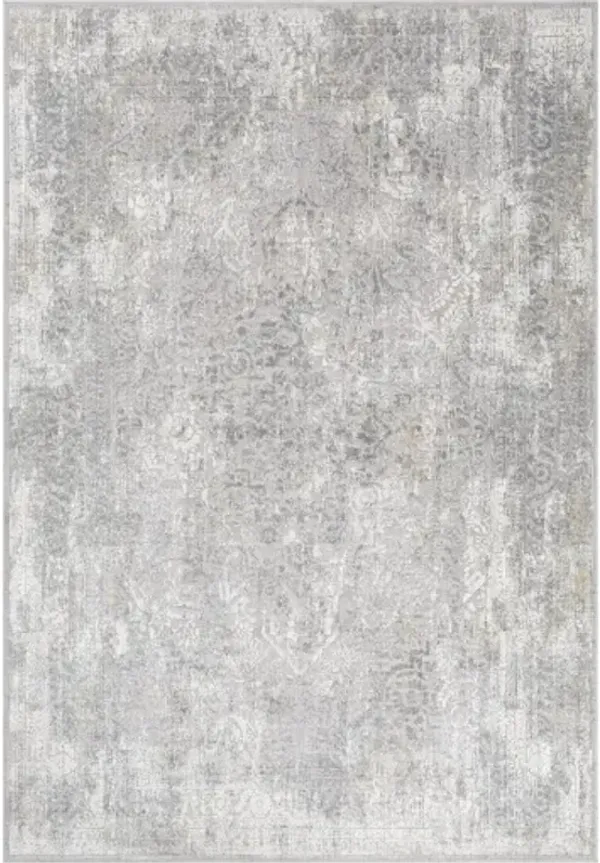 Norland 2'7" x 4' Rug