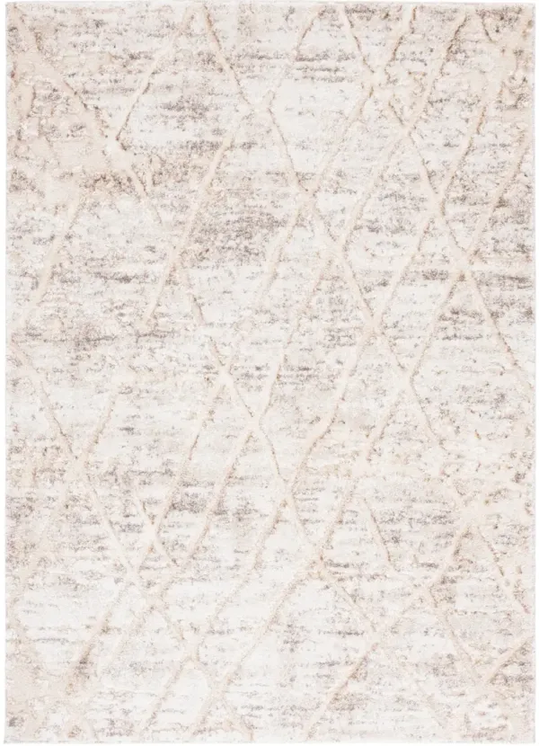 RAVINE SHAG 354 BEIGE  4' x 6' Small Rectangle Rug