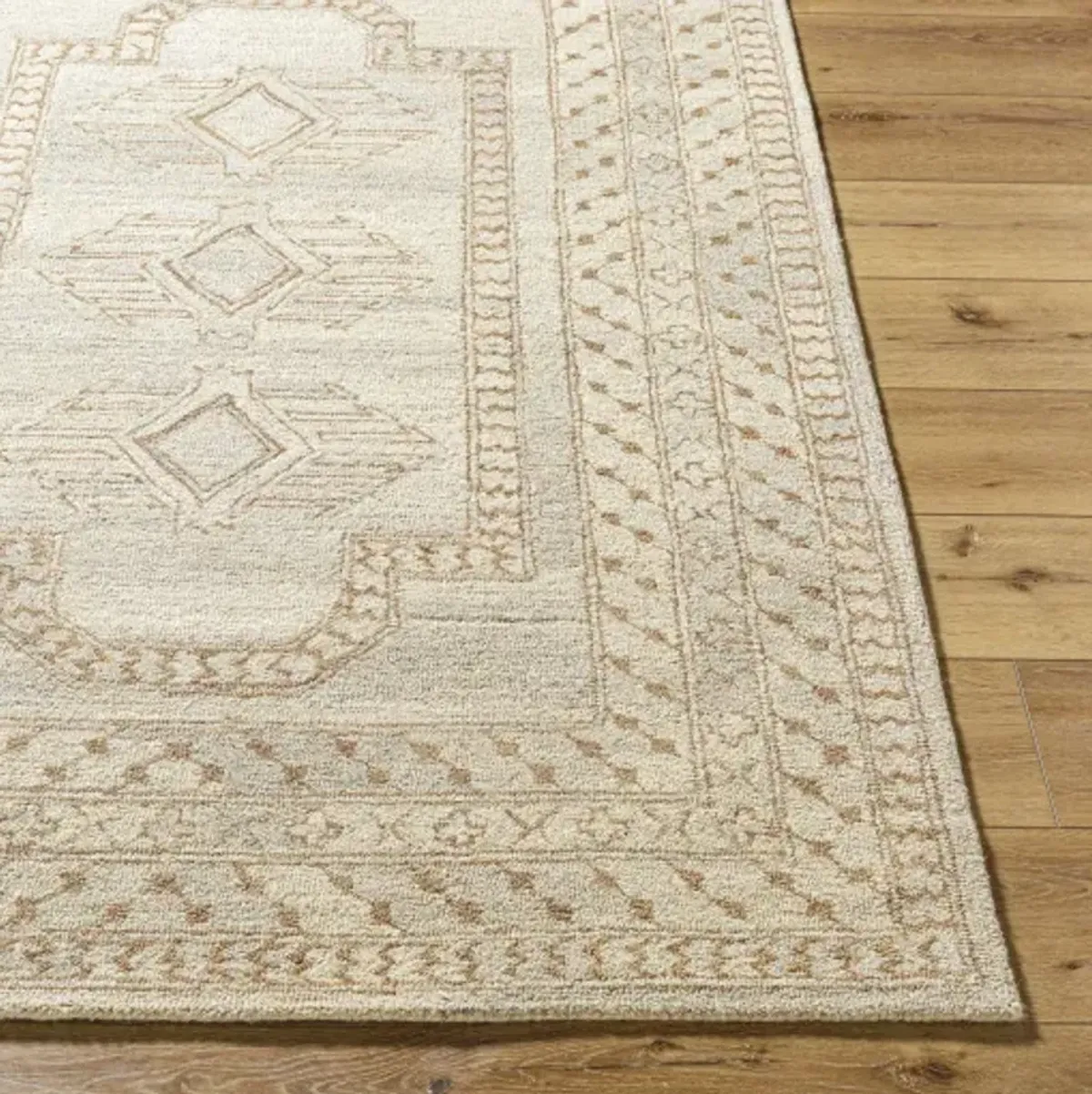 Bournemouth BOT-2316 2' x 3' Handmade Rug