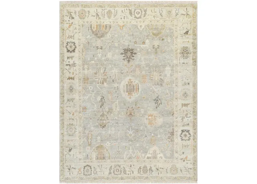 Antalya AAT-2311 9' x 12' Handmade Rug