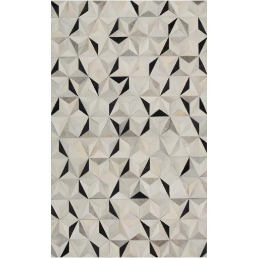 Trail 8' x 10' Rug