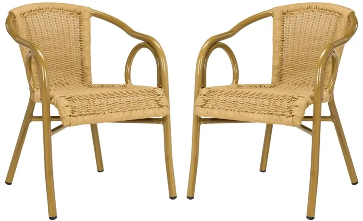 Dagny  Arm Chair - Set of 2