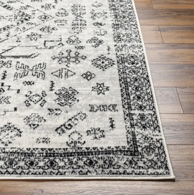 Pisa PSS-2366 6'7" x 9' Machine Woven Rug