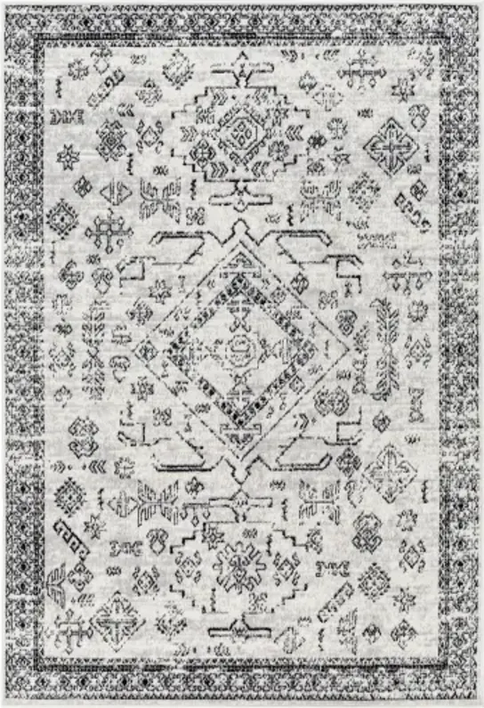 Pisa PSS-2366 6'7" x 9' Machine Woven Rug