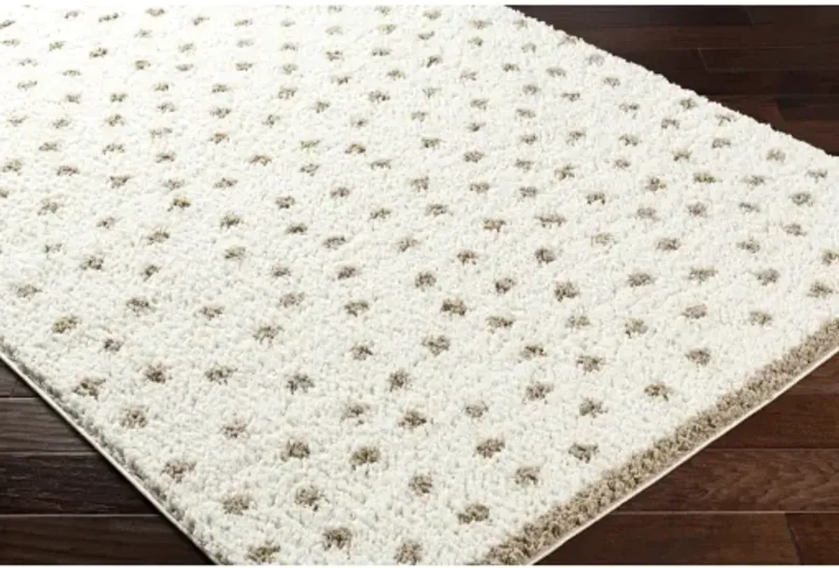 Birmingham BMM-2303 6'7" x 9' Machine Woven Rug