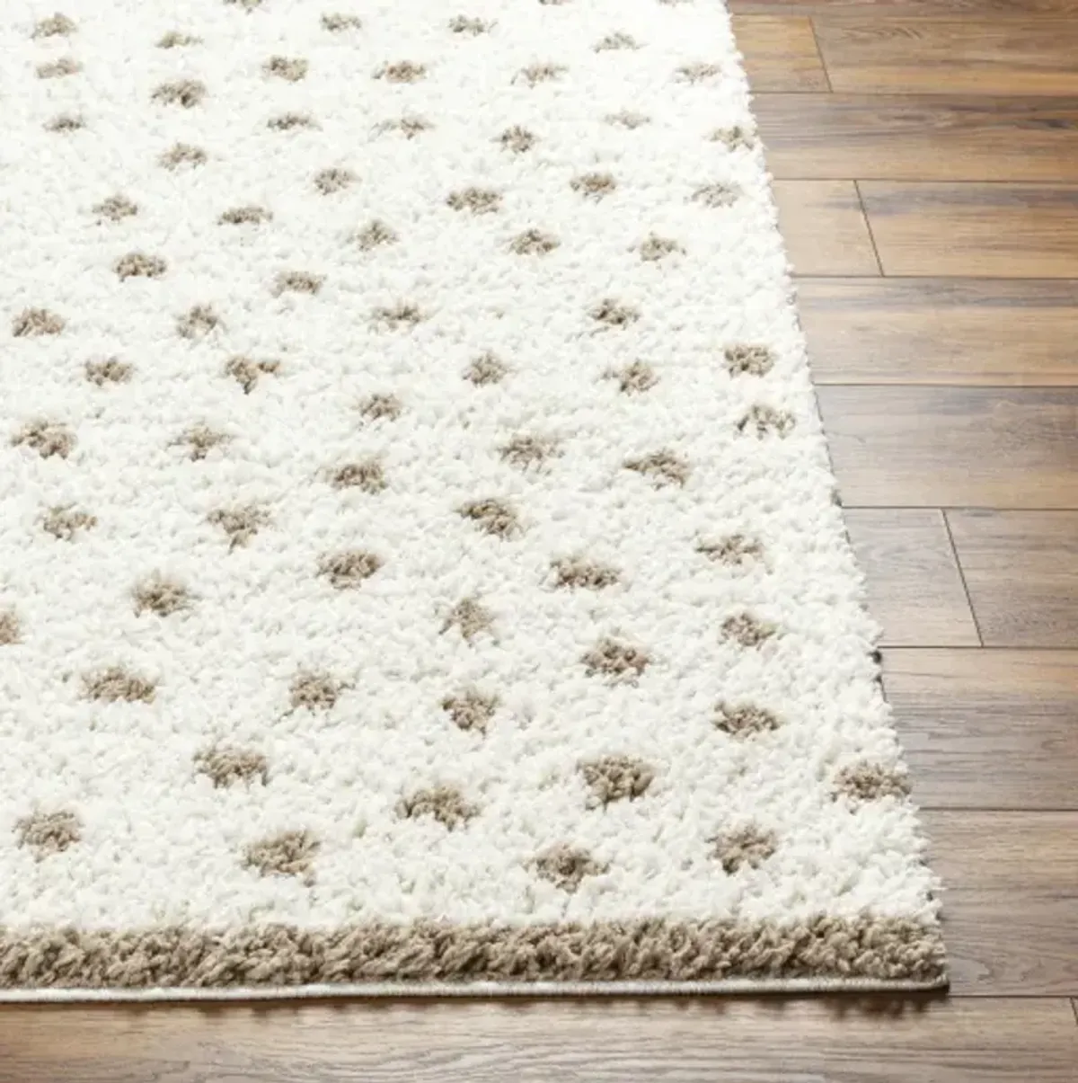 Birmingham BMM-2303 6'7" x 9' Machine Woven Rug