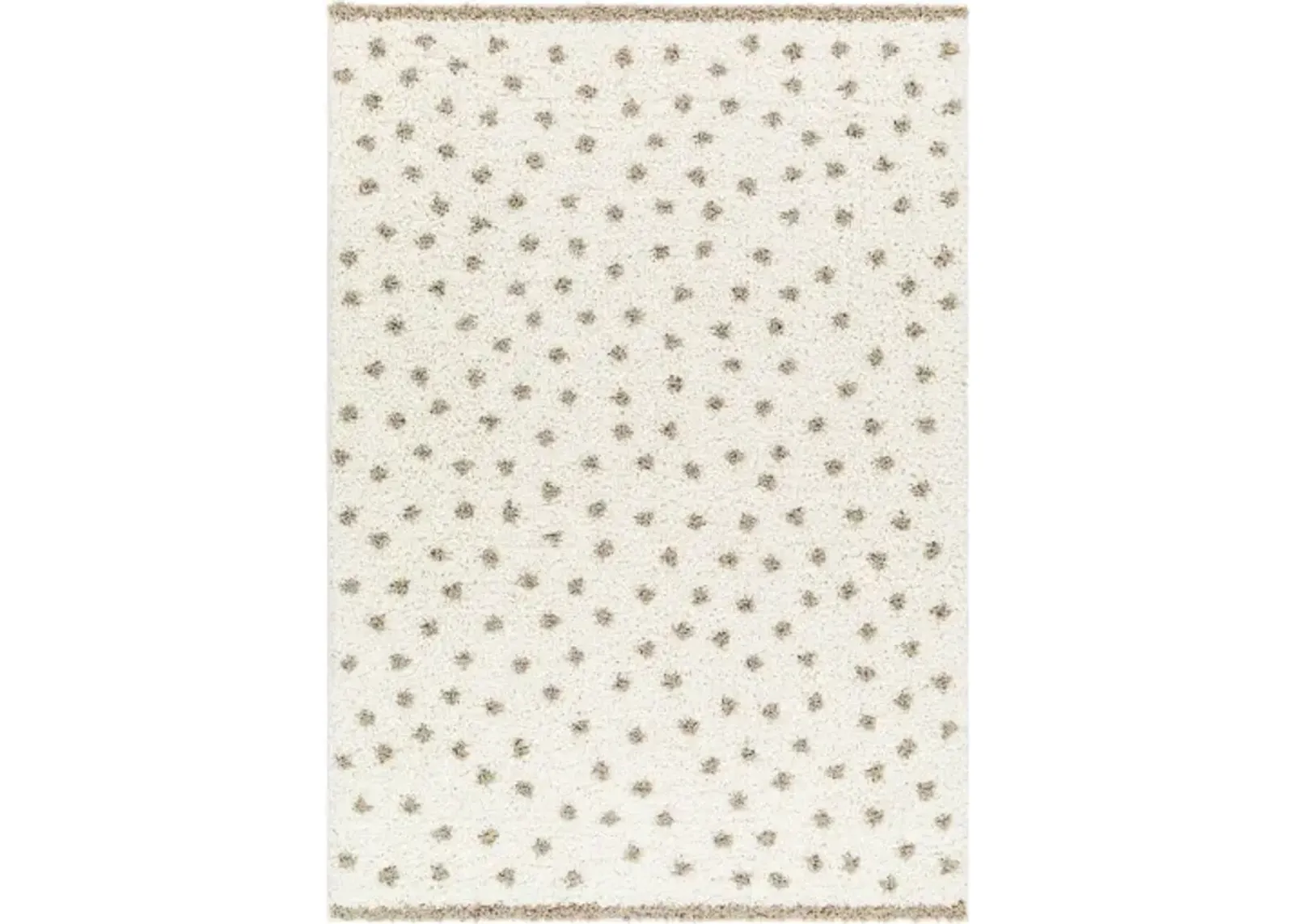 Birmingham BMM-2303 6'7" x 9' Machine Woven Rug