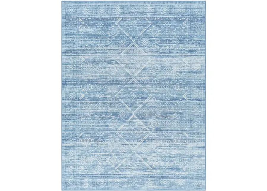 Hera HRH-2307 7'10" x 10'6" Machine Woven Rug