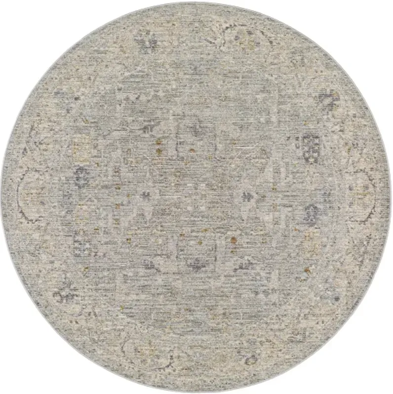 Avant Garde AVT-2339 2'7" x 7'3" Rug