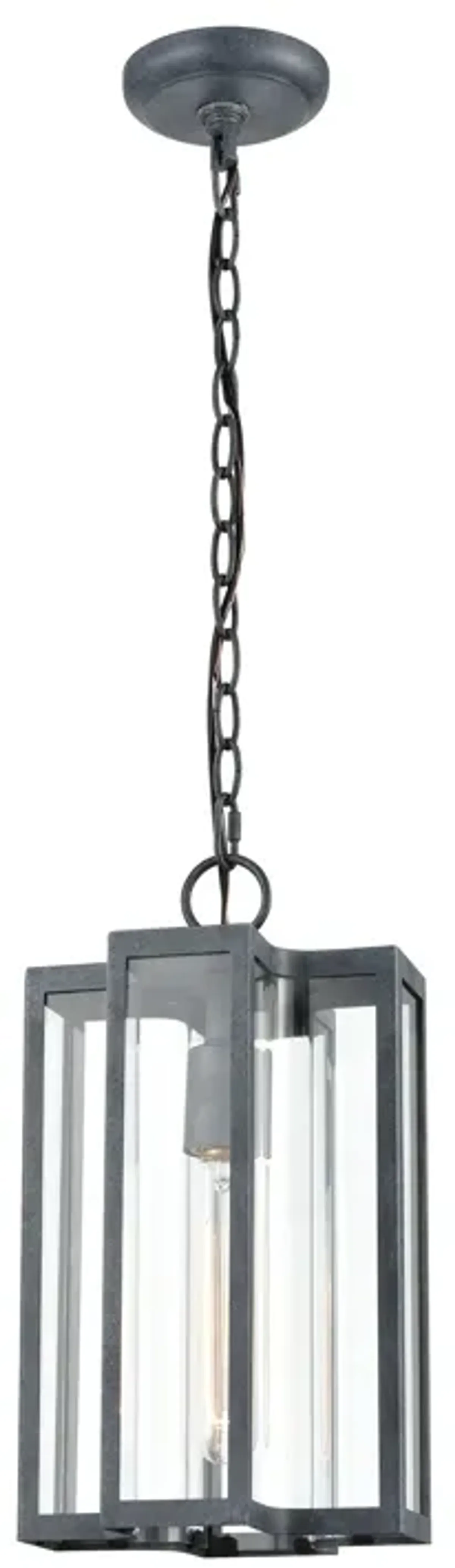 Bianca 8" Wide 1-Light Outdoor Pendant - Aged Zinc