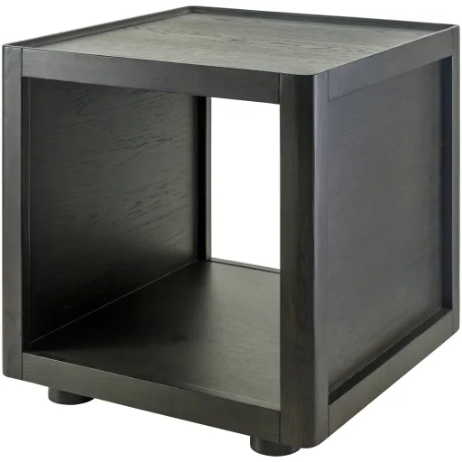 Shaye SHYE-002 22"H x 22"W x 22"D End Table