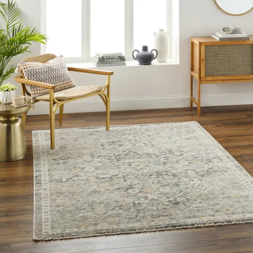 Rojin ROJ-2301 2'7" x 7'3" Machine Woven Rug