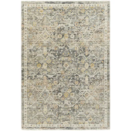 Rojin ROJ-2301 2'7" x 7'3" Machine Woven Rug