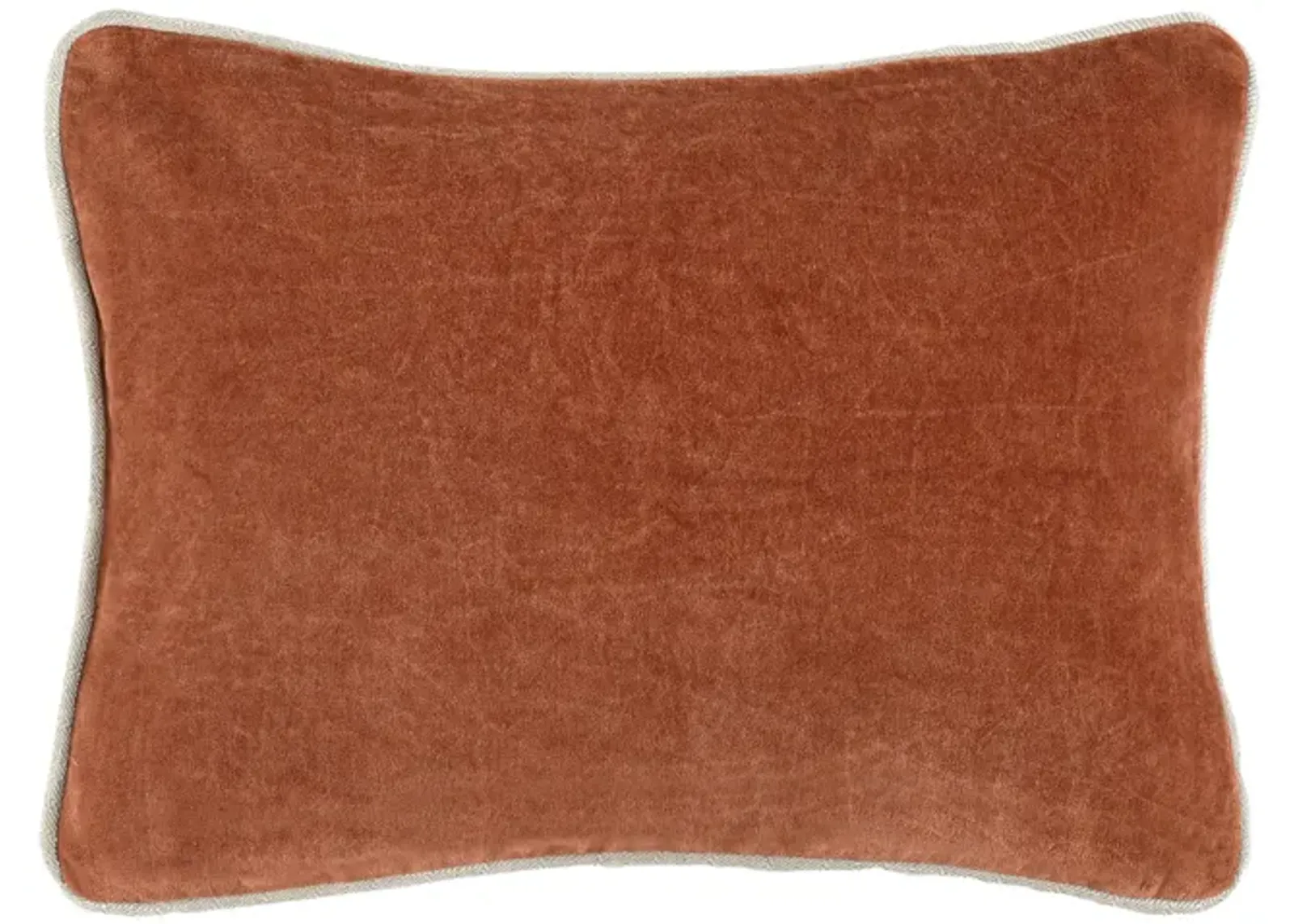 Harriet 12"x16" Velvet Throw Pillow, Terra Cotta