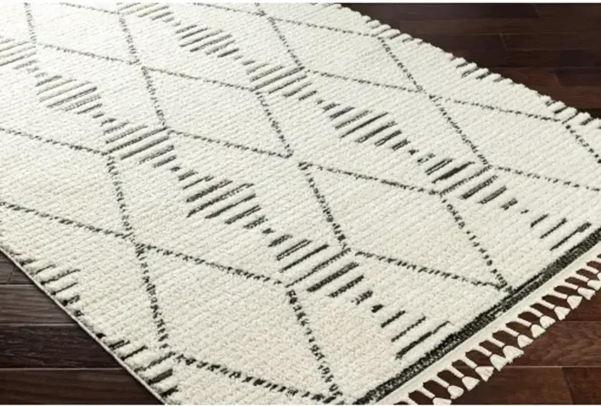 Valencia VLC-2316 5'3" x 7' Machine Woven Rug