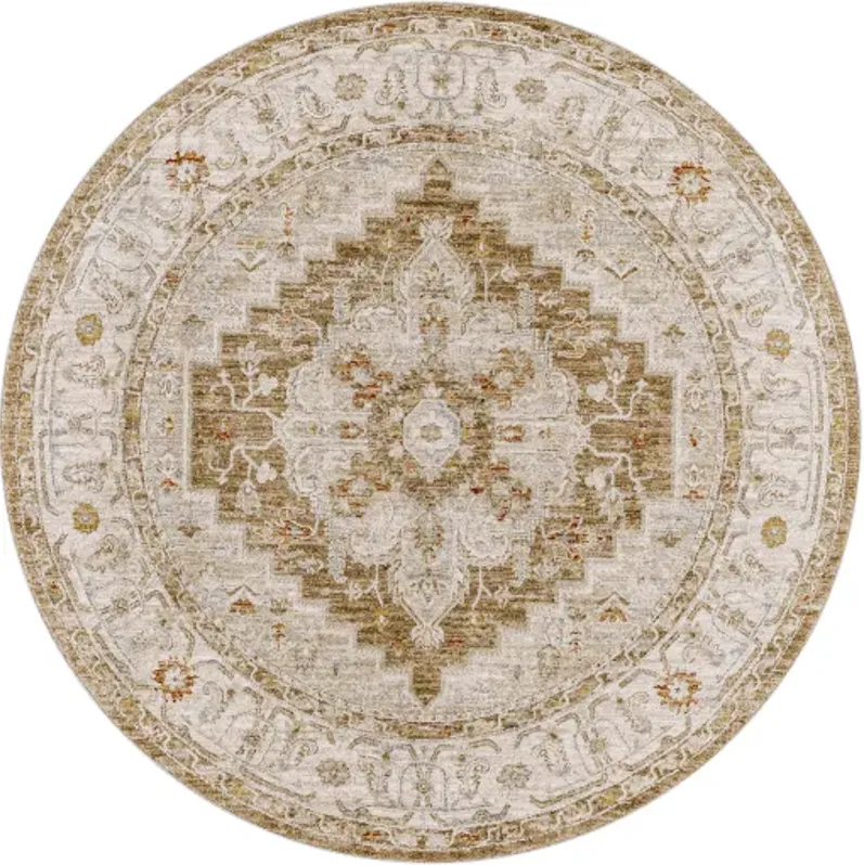 Avant Garde 5'3" Round Rug