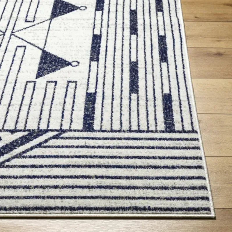 Pisa PSS-2376 5' x 7' Machine Woven Rug