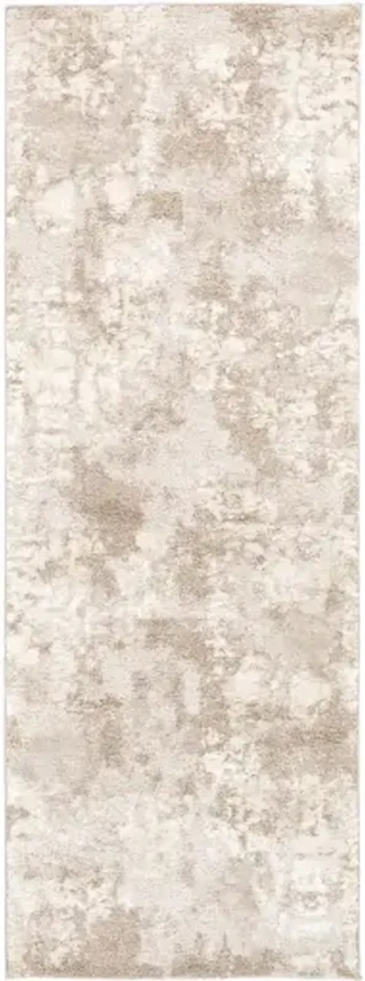Venice 2'7" x 7'3" Rug