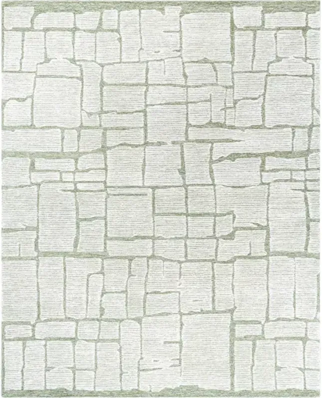 Bianca BNC-2302 8' x 10' Handmade Rug