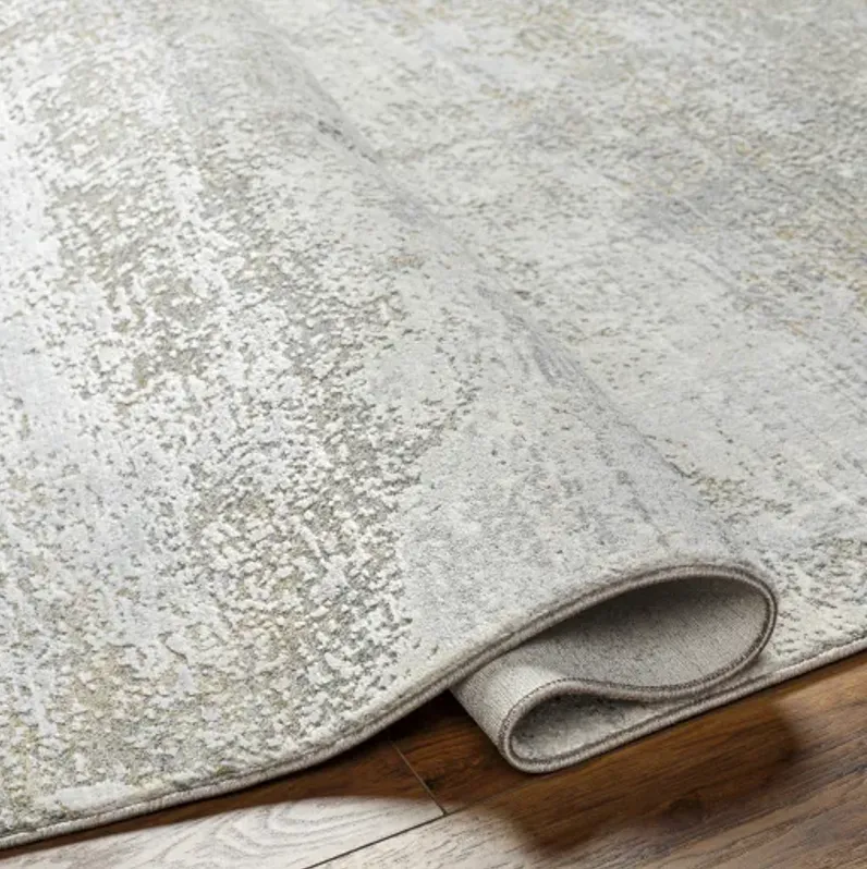 Brunswick BWK-2325 6'7" x 9'6" Machine Woven Rug