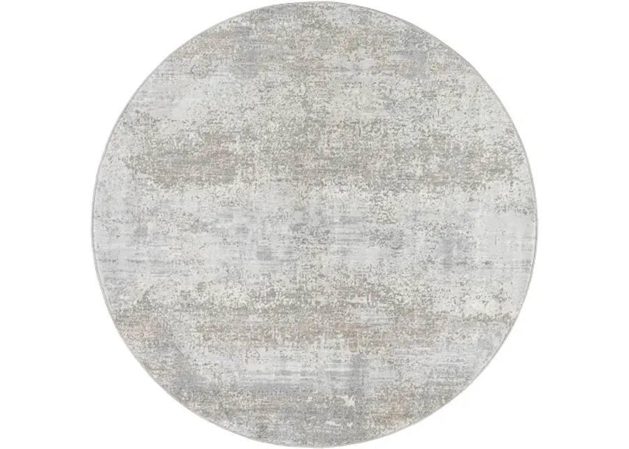 Brunswick BWK-2325 6'7" x 9'6" Machine Woven Rug