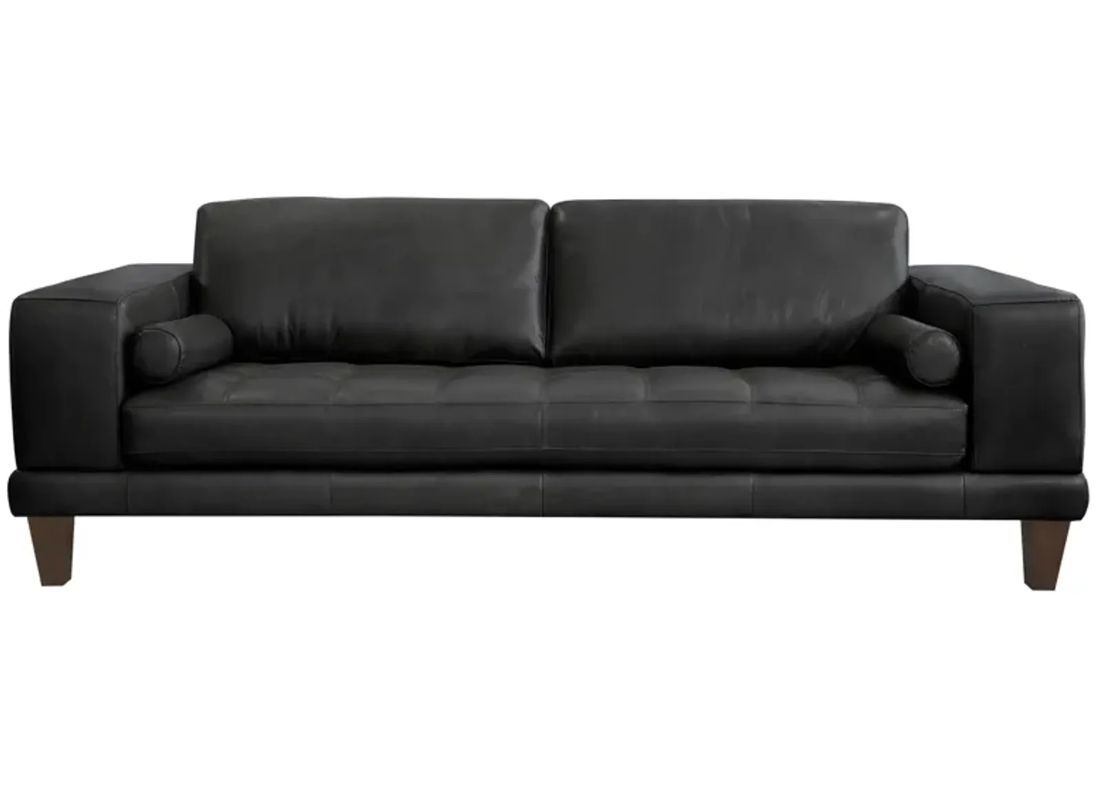 Wynne Contemporary Leather Sofa 