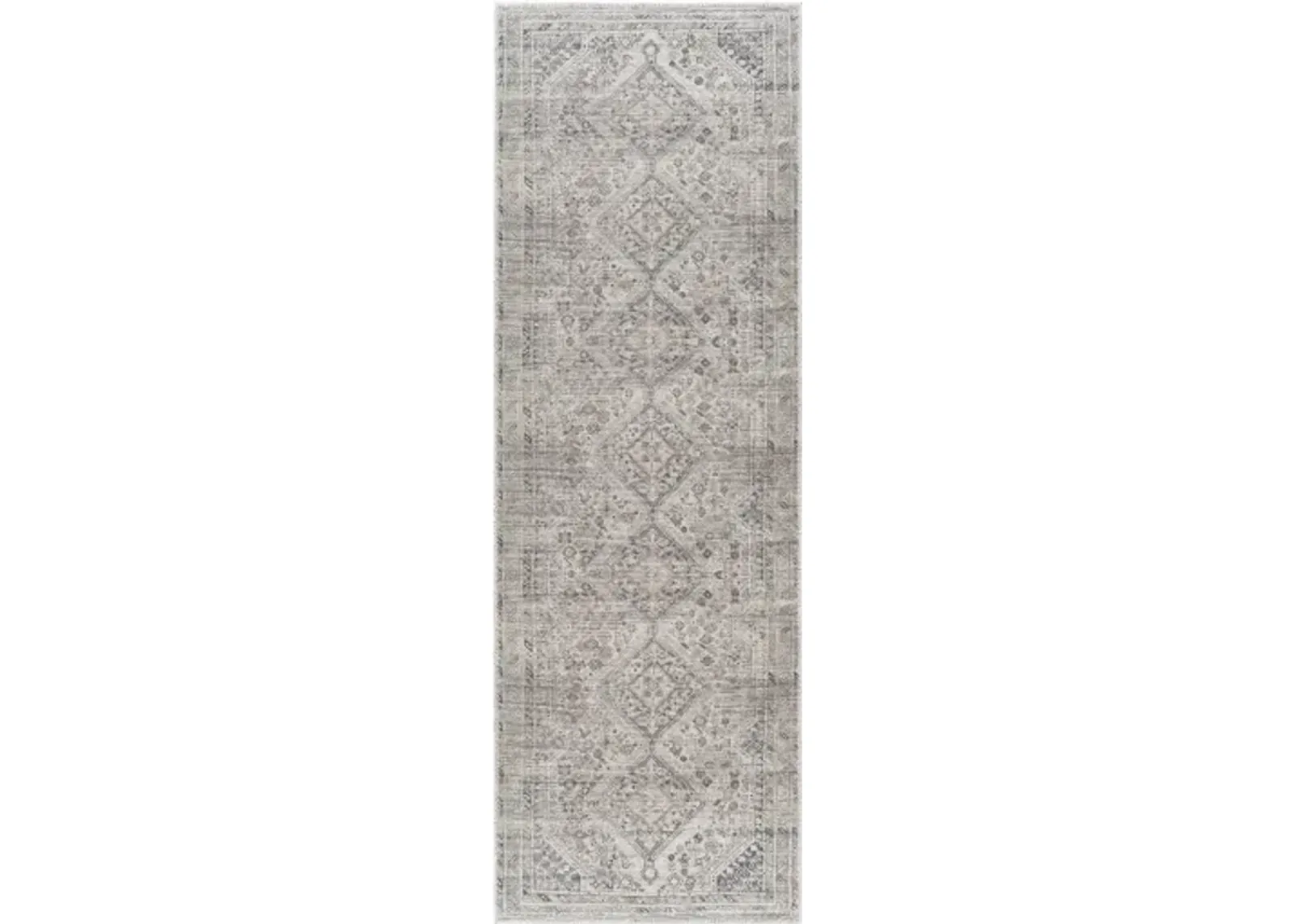 Amelie AML-2383 2'7" x 7'10" Machine Woven Rug