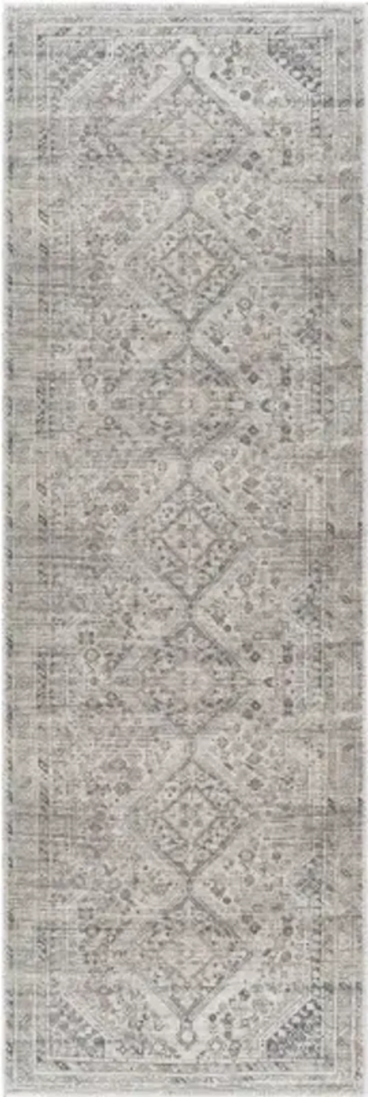 Amelie AML-2383 2'7" x 7'10" Machine Woven Rug