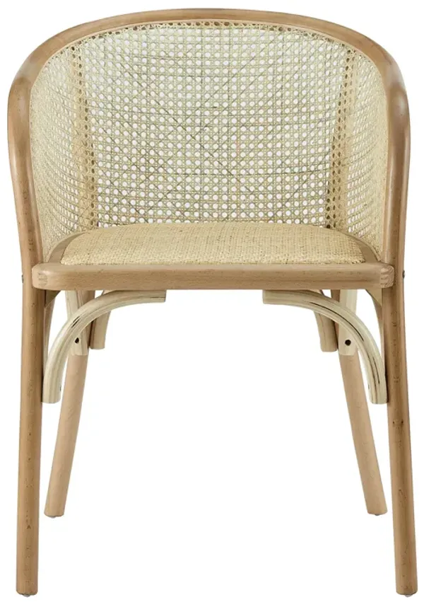 Elsy Armchair in Natural with Natural Rattan Seat - Set of 1