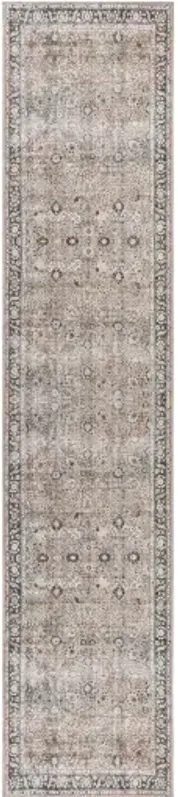 Colin CLN-2300 2'7" x 7'3" Rug