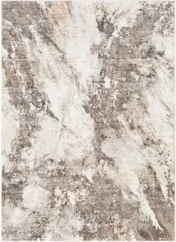 Allegro 5'3" x 7' Rug
