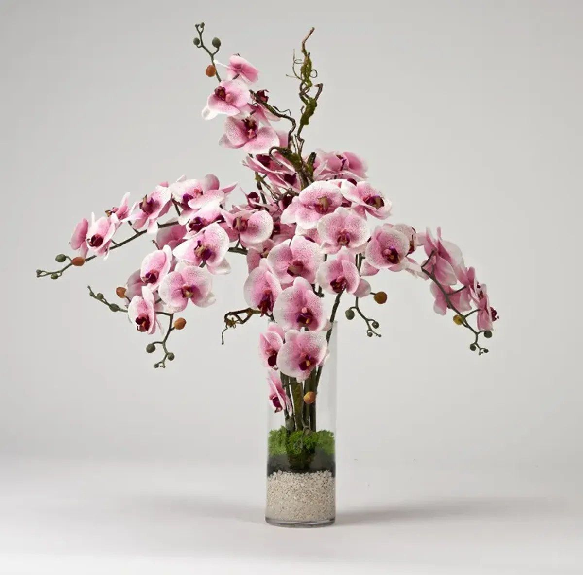 Pink Phael Orchids in Glass Cylinder