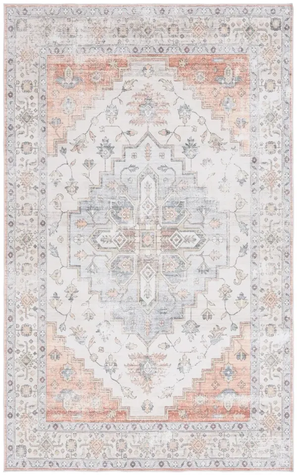 ARIZONA 209 Pink 3' X 5' Small Rectangle Rug