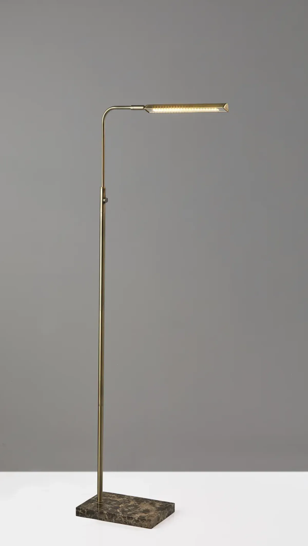 Reader LED Floor Lamp