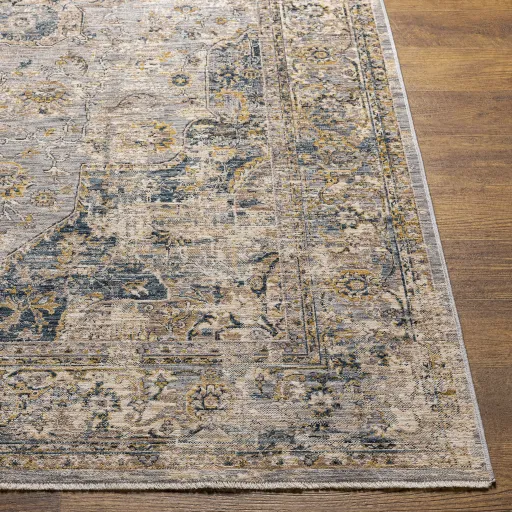 Aspendos 2'7" x 4' Rug