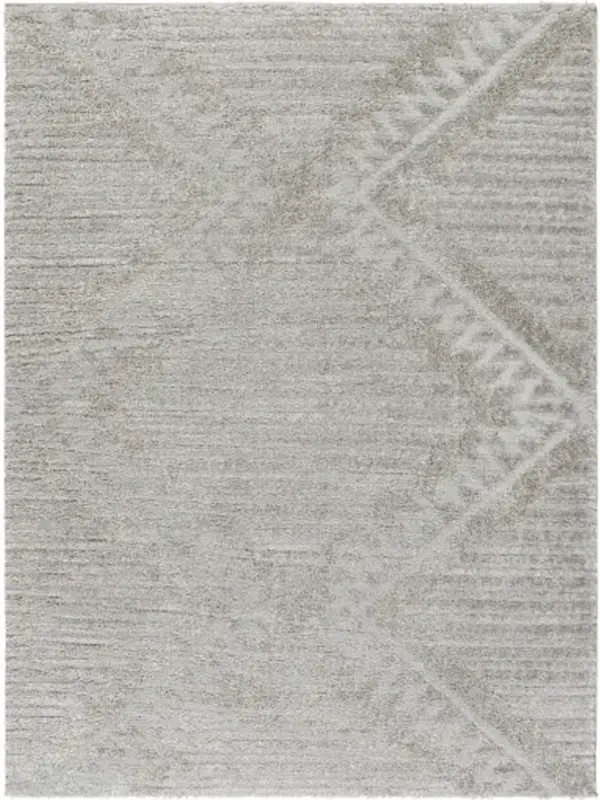 Nomadic NMC-2300 6'7" x 9' Machine Woven Rug