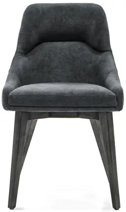 Lileth River Upholstered Dining Chair - Set of 2