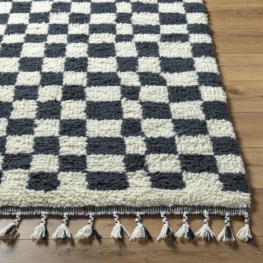 Mirela MMI-2301 2' x 3' Hand Made Rug