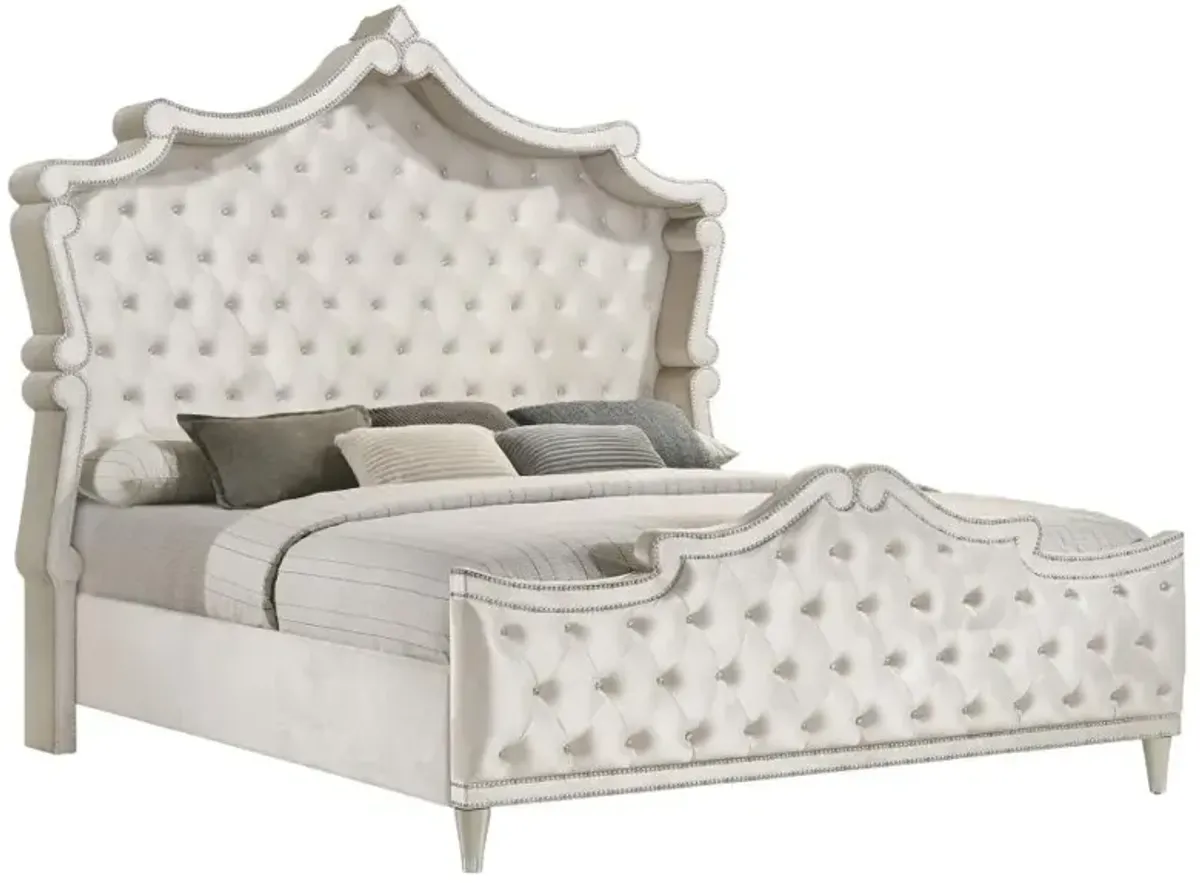 Antonella Upholstered Tufted California King Bed Ivory and Camel