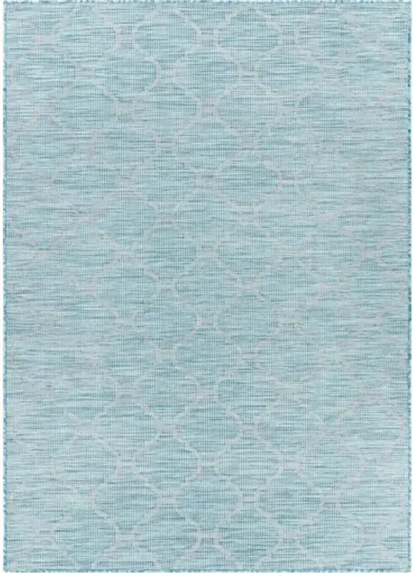 Pasadena 5'1" x 7' Rug